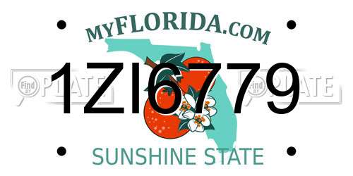 1ZI6779 Florida License Plate