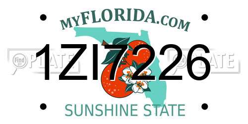 1ZI7226 Florida License Plate