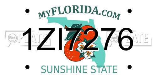 1ZI7276 Florida License Plate