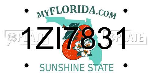 1ZI7831 Florida License Plate
