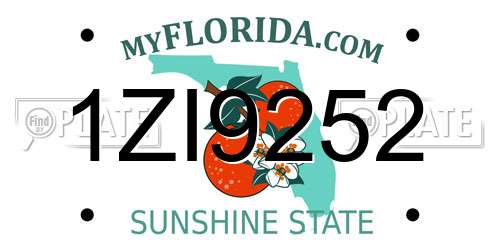 1ZI9252 Florida License Plate