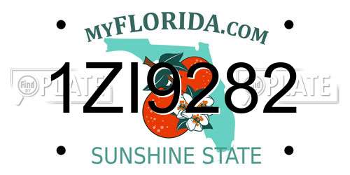 1ZI9282 Florida License Plate
