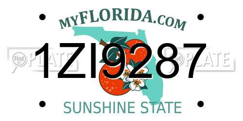 1ZI9287 Florida License Plate