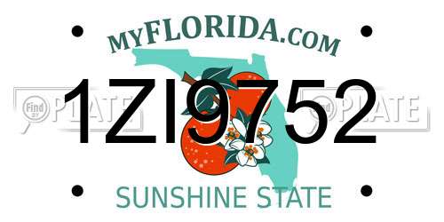 1ZI9752 Florida License Plate