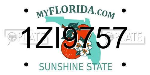 1ZI9757 Florida License Plate