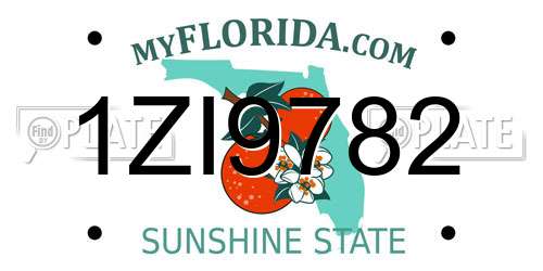 1ZI9782 Florida License Plate