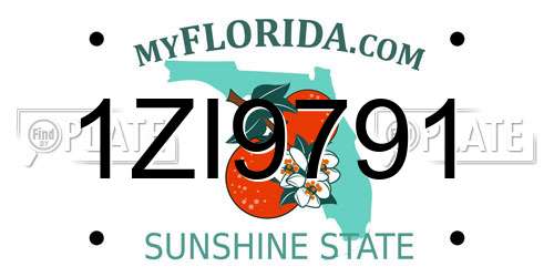 1ZI9791 Florida License Plate