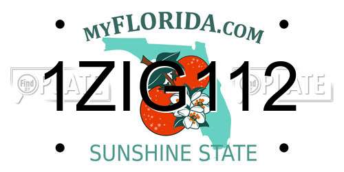 1ZIG112 Florida License Plate