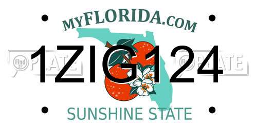 1ZIG124 Florida License Plate