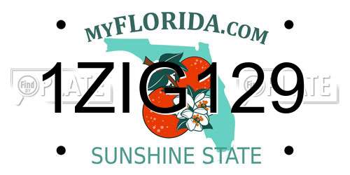 1ZIG129 Florida License Plate