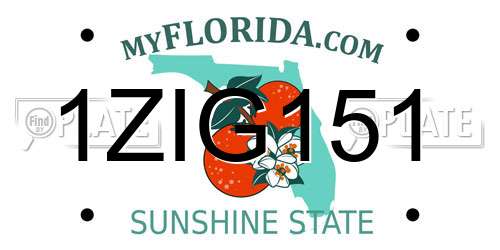 1ZIG151 Florida License Plate