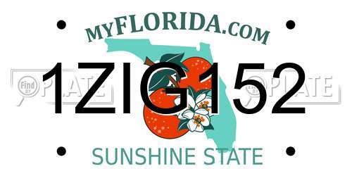1ZIG152 Florida License Plate