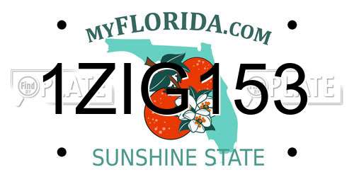 1ZIG153 Florida License Plate