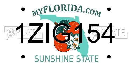 1ZIG154 Florida License Plate