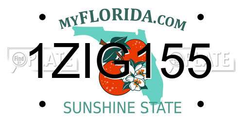 1ZIG155 Florida License Plate