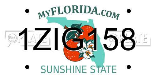 1ZIG158 Florida License Plate