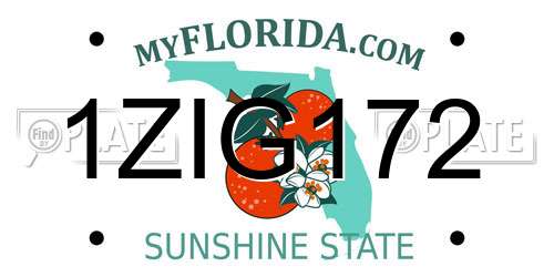 1ZIG172 Florida License Plate