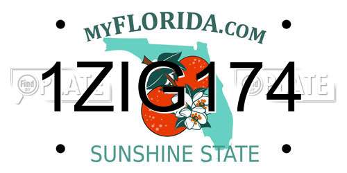 1ZIG174 Florida License Plate