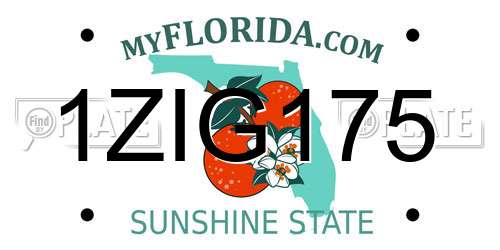 1ZIG175 Florida License Plate