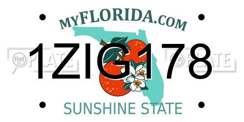 1ZIG178 Florida License Plate