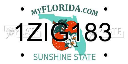 1ZIG183 Florida License Plate