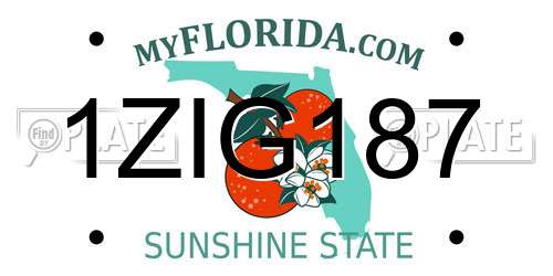 1ZIG187 Florida License Plate
