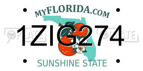 1ZIG274 Florida License Plate
