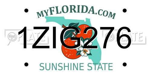 1ZIG276 Florida License Plate