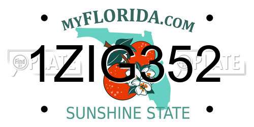 1ZIG352 Florida License Plate