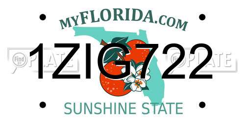 1ZIG722 Florida License Plate