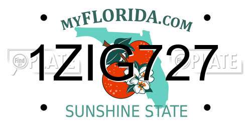 1ZIG727 Florida License Plate