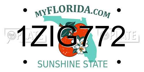 1ZIG772 Florida License Plate
