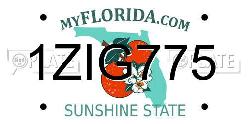 1ZIG775 Florida License Plate