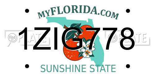 1ZIG778 Florida License Plate