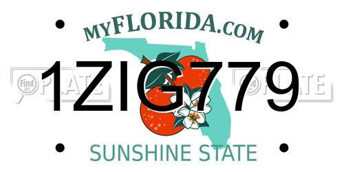 1ZIG779 Florida License Plate