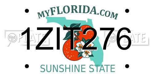 1ZIT276 Florida License Plate