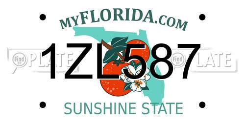 1ZL587 Florida License Plate