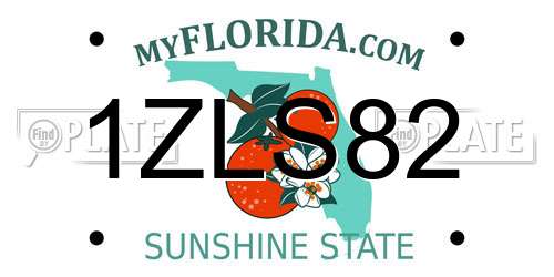 1ZLS82 Florida License Plate