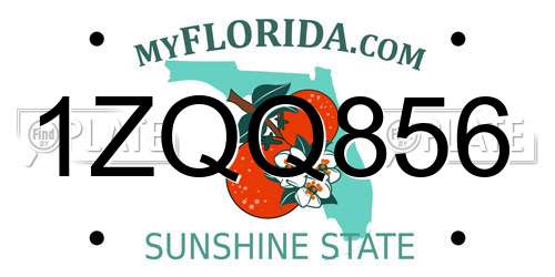 1ZQQ856 Florida License Plate