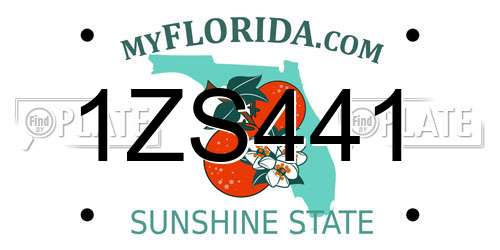 1ZS441 Florida License Plate