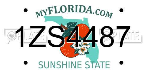 1ZS4487 Florida License Plate