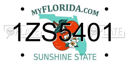 1ZS5401 Florida License Plate