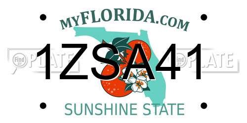 1ZSA41 Florida License Plate