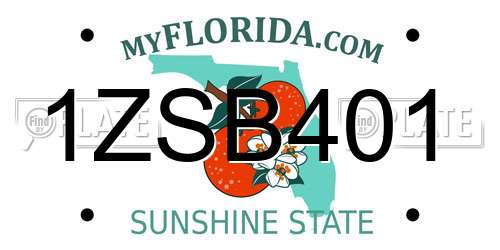 1ZSB401 Florida License Plate