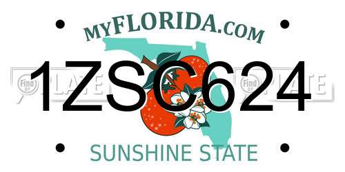 1ZSC624 Florida License Plate