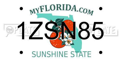 1ZSN85 Florida License Plate