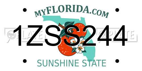 1ZSS244 Florida License Plate