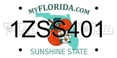 1ZSS401 Florida License Plate