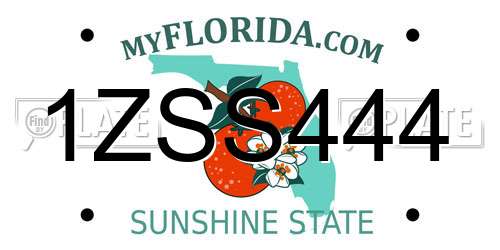 1ZSS444 Florida License Plate