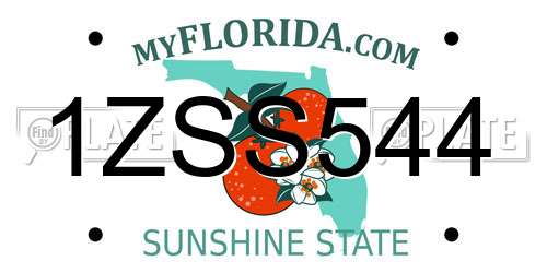 1ZSS544 Florida License Plate